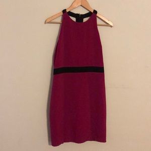 Badgley Mischka Magenta Sheath Dress with Black Accents